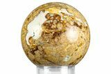 Polished Fossil Stromatolite Sphere - Green River Formation #369853-1